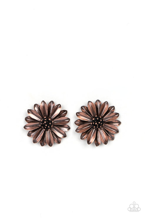 Paparazzi Daisy Dilemma - Brass Earrings - Gtdazzlequeen