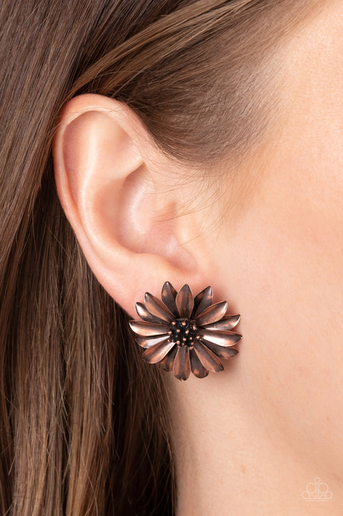Paparazzi Daisy Dilemma - Brass Earrings - Gtdazzlequeen